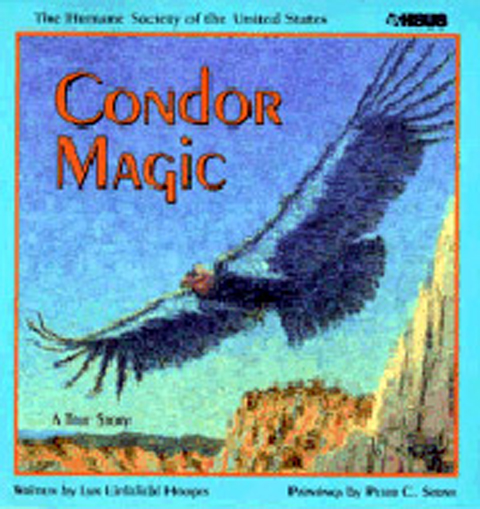 Condor Magic - Centered on the capture of the last few wild condors, how they were bred in captivity, and released north of the Grand Canyon